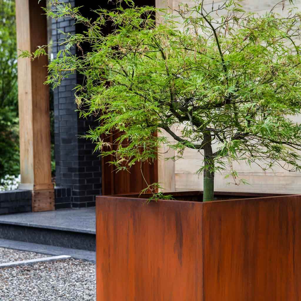 Steel Cube Planter || Steel - Image 3