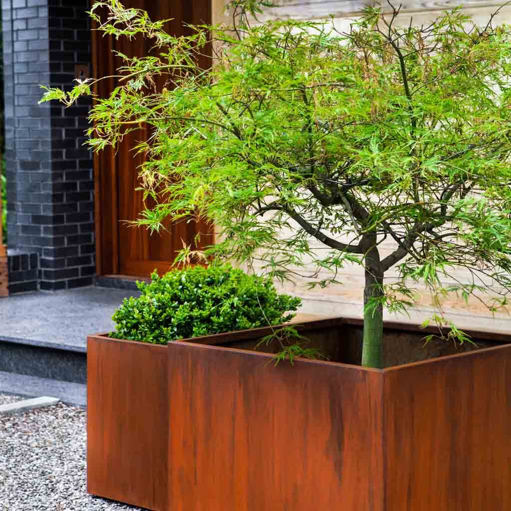 Steel Cube Planter || Steel - Image 4